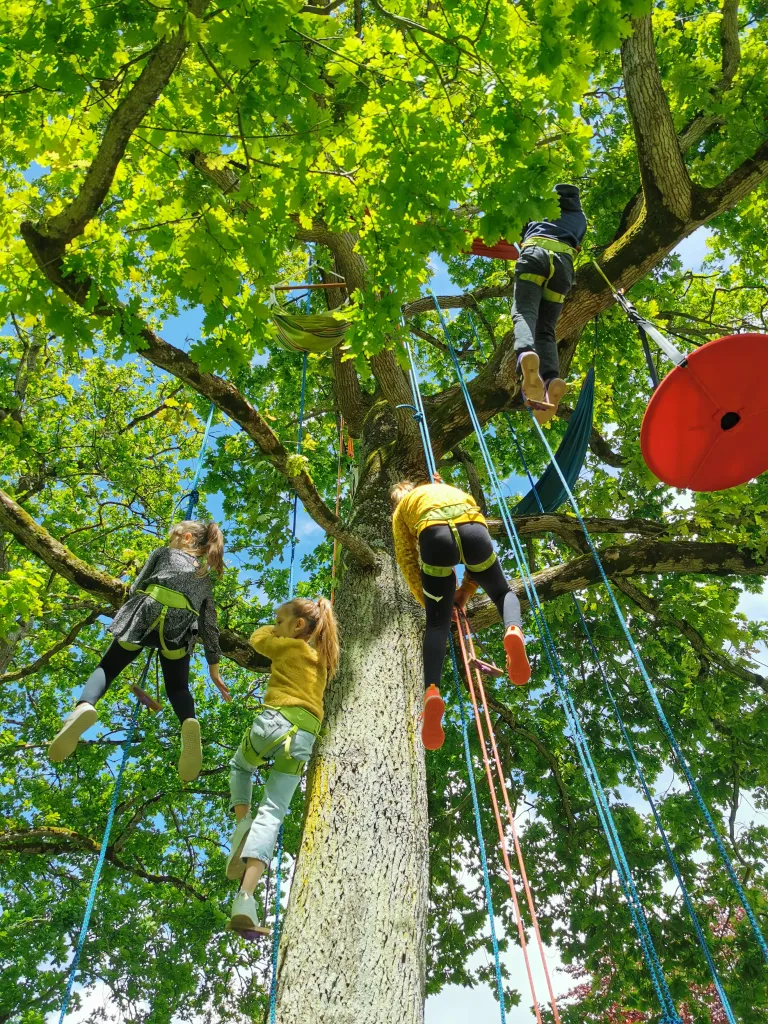 Grimpe d'arbre technique cordes lianes